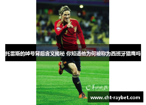 托雷斯的绰号背后含义揭秘 你知道他为何被称为西班牙猎鹰吗