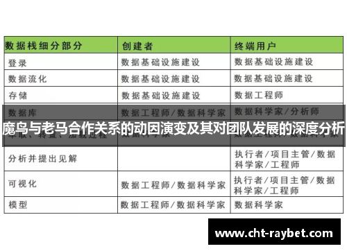 魔鸟与老马合作关系的动因演变及其对团队发展的深度分析